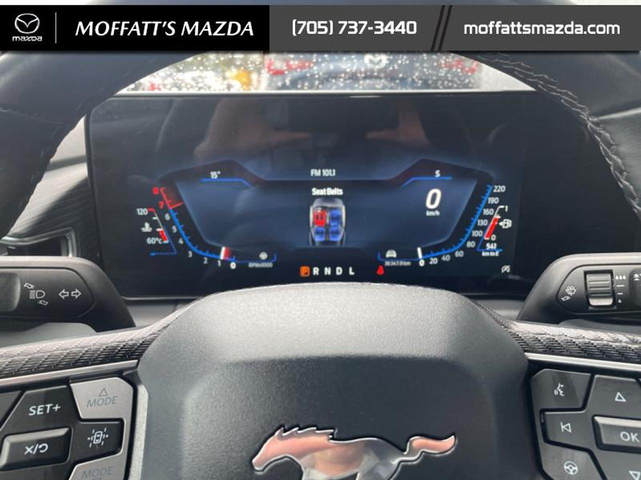 2025 Ford Mustang EcoBoost Photo