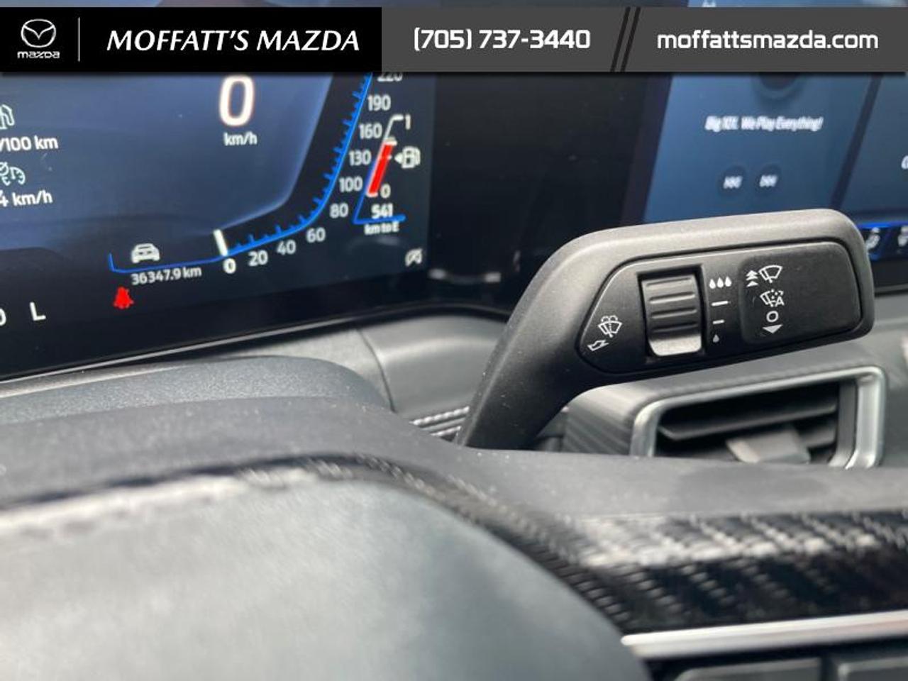 2025 Ford Mustang EcoBoost Photo