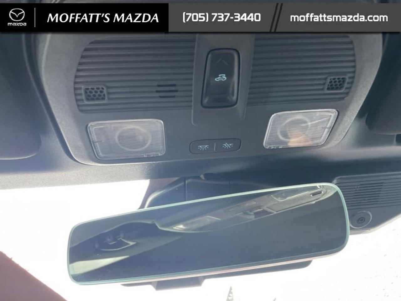 2025 Ford Mustang EcoBoost Photo