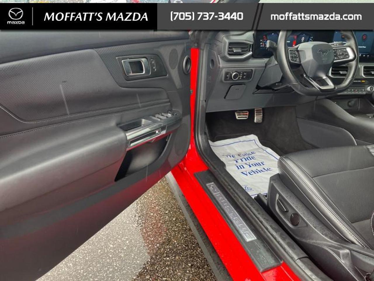 2025 Ford Mustang EcoBoost Photo