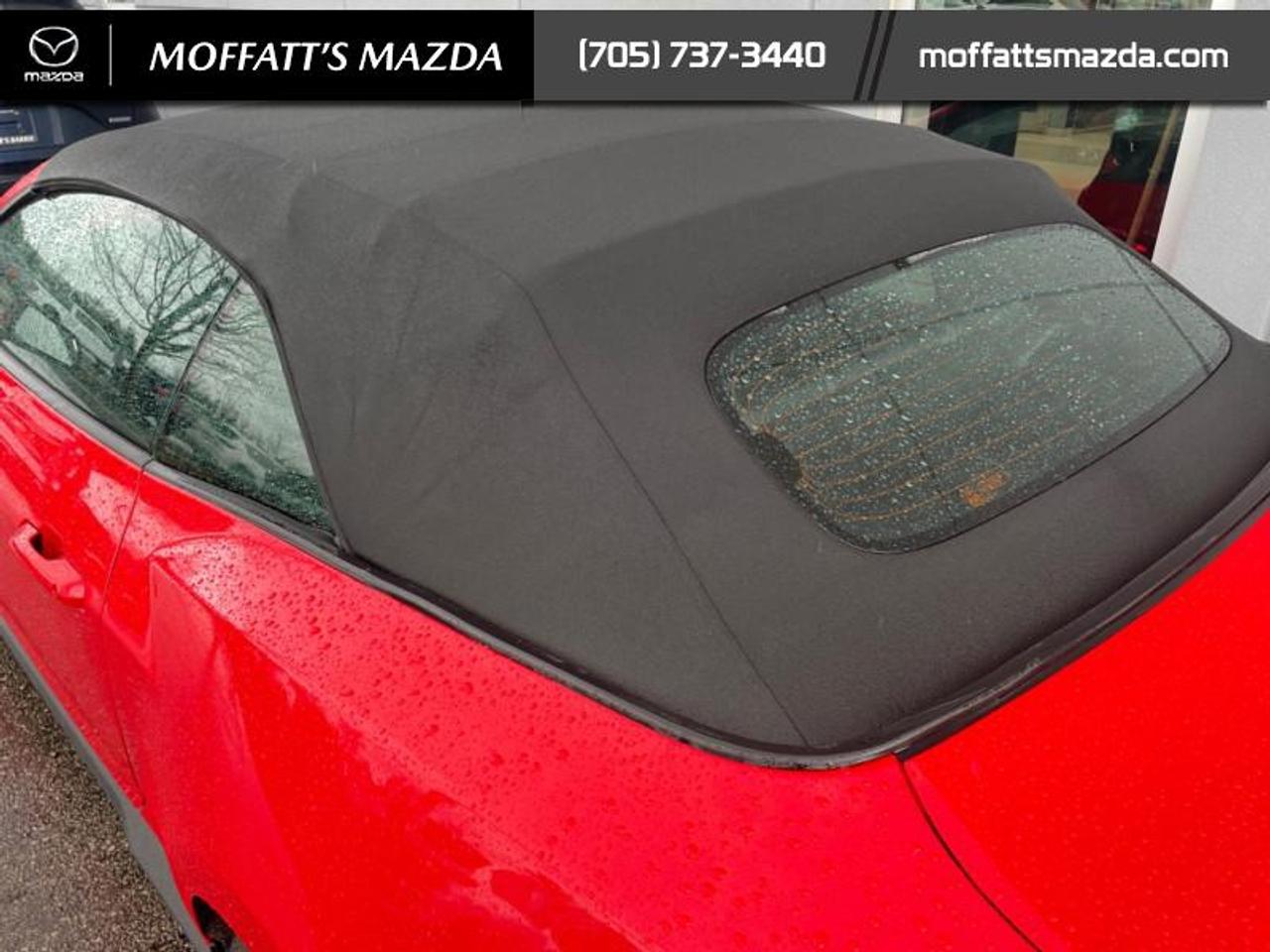 2025 Ford Mustang EcoBoost Photo