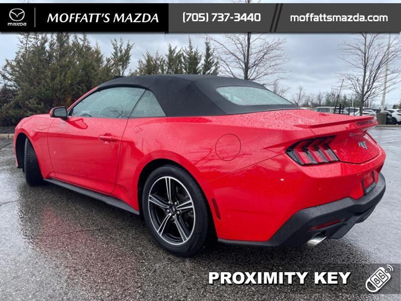 2025 Ford Mustang EcoBoost Photo