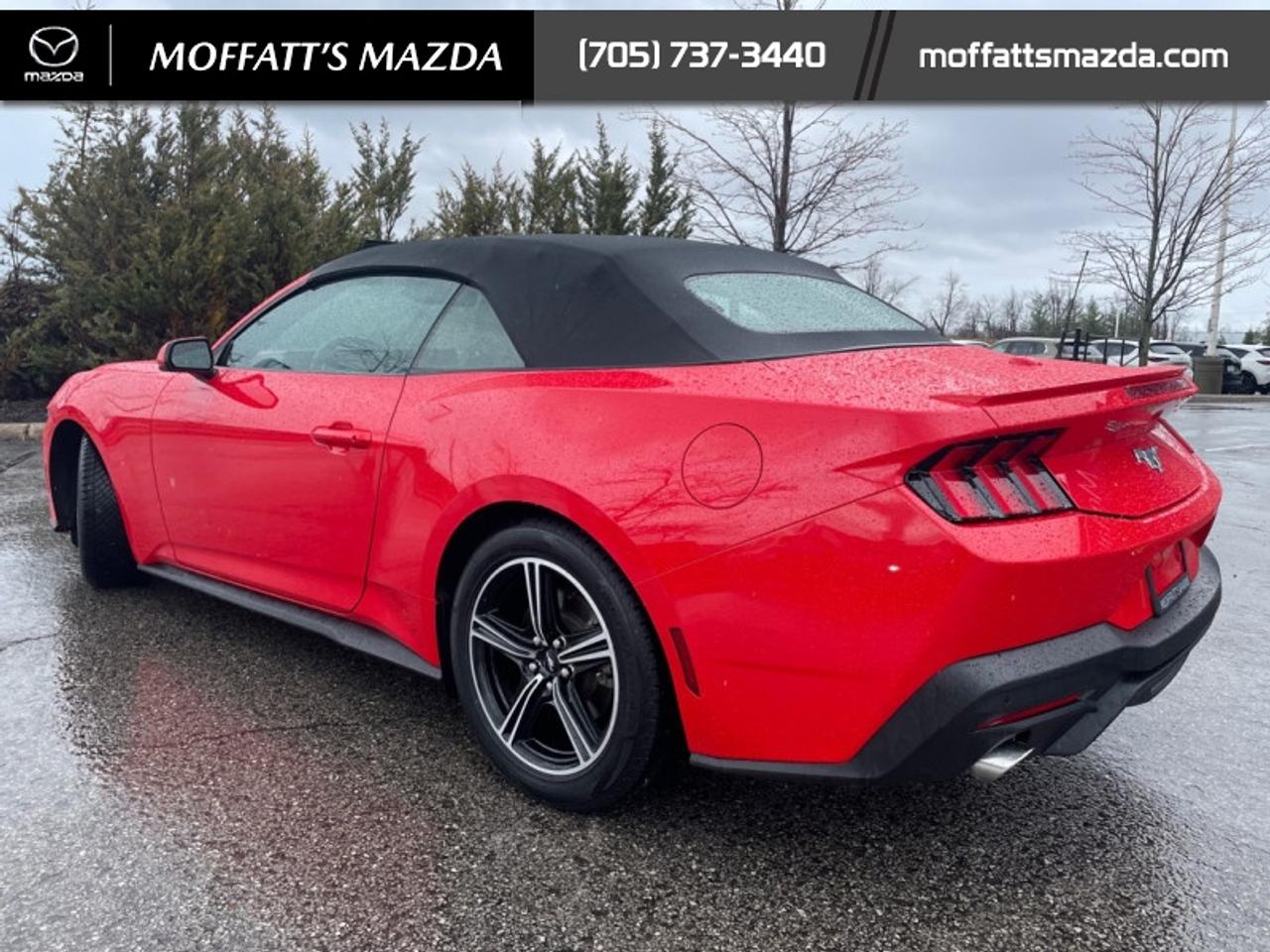 2025 Ford Mustang EcoBoost Photo2