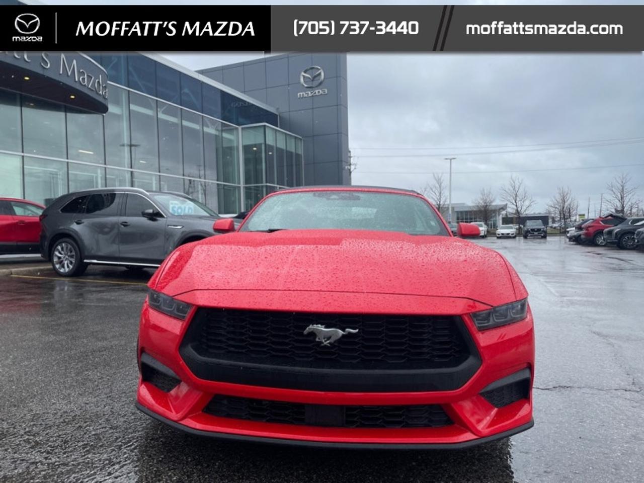 2025 Ford Mustang EcoBoost Photo