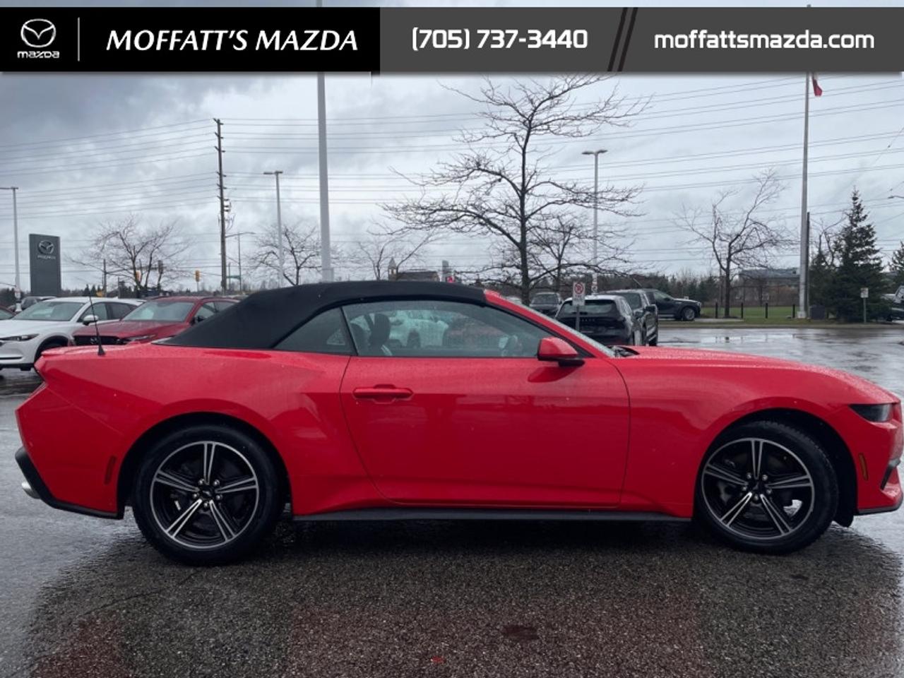 2025 Ford Mustang EcoBoost Photo