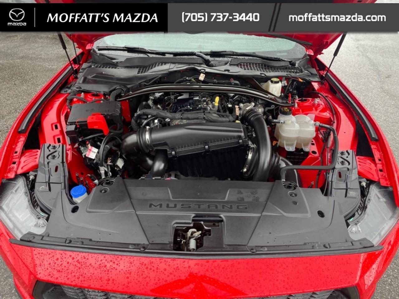 2025 Ford Mustang EcoBoost Photo