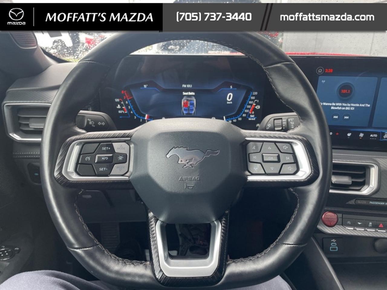 2025 Ford Mustang EcoBoost Photo