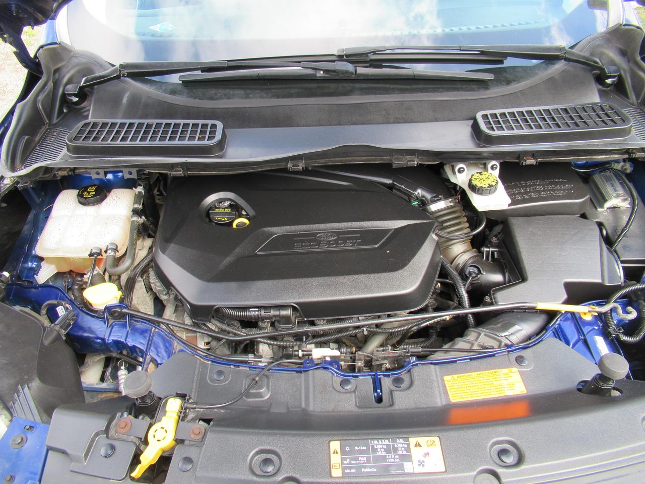 2014 Ford Escape SE Photo4