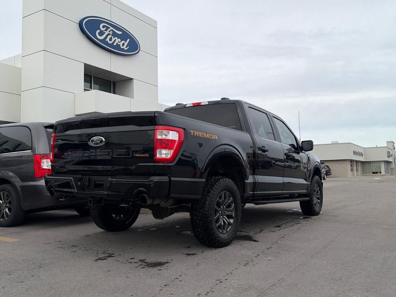 2021 Ford F-150  Photo