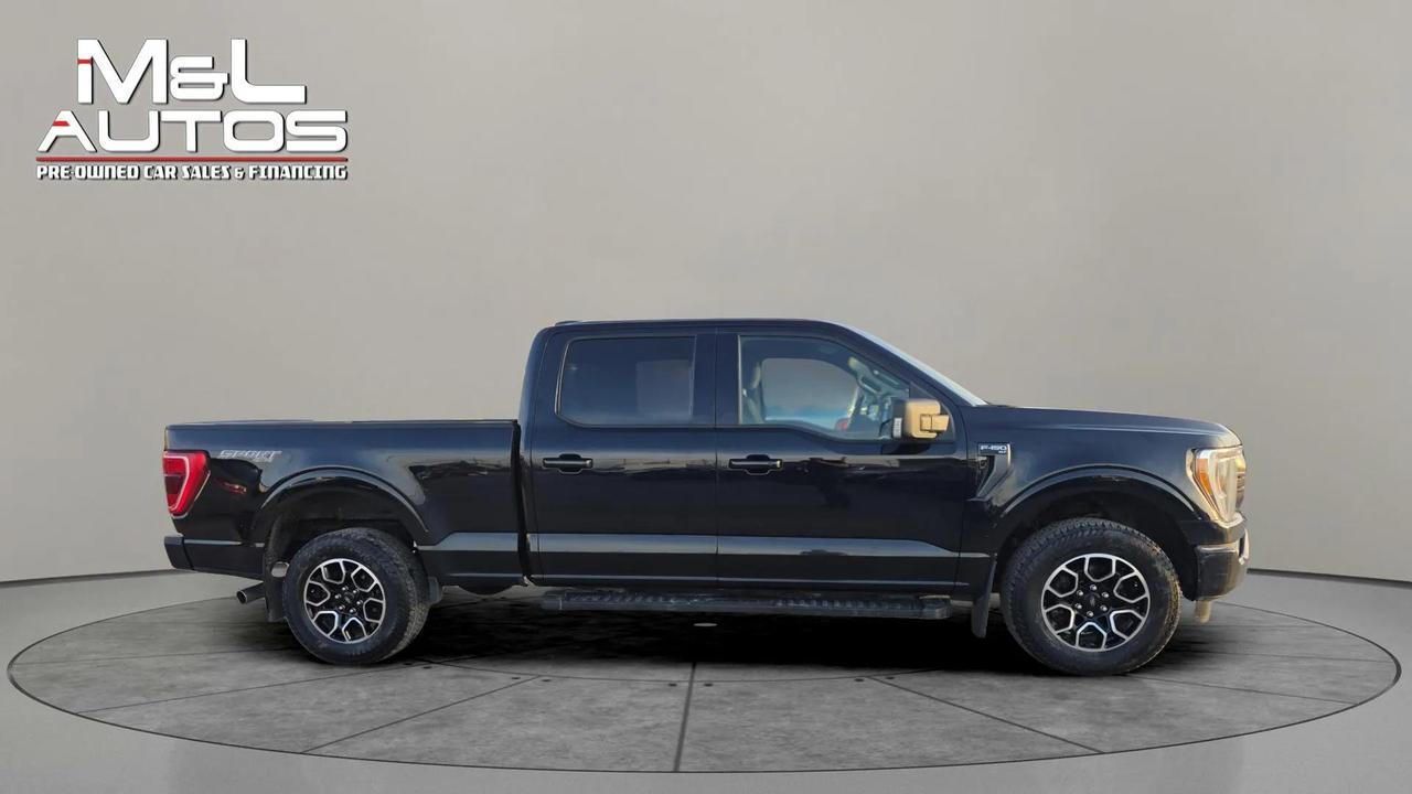 2022 Ford F-150 XLT 4WD SuperCrew 5.5' Box Photo3