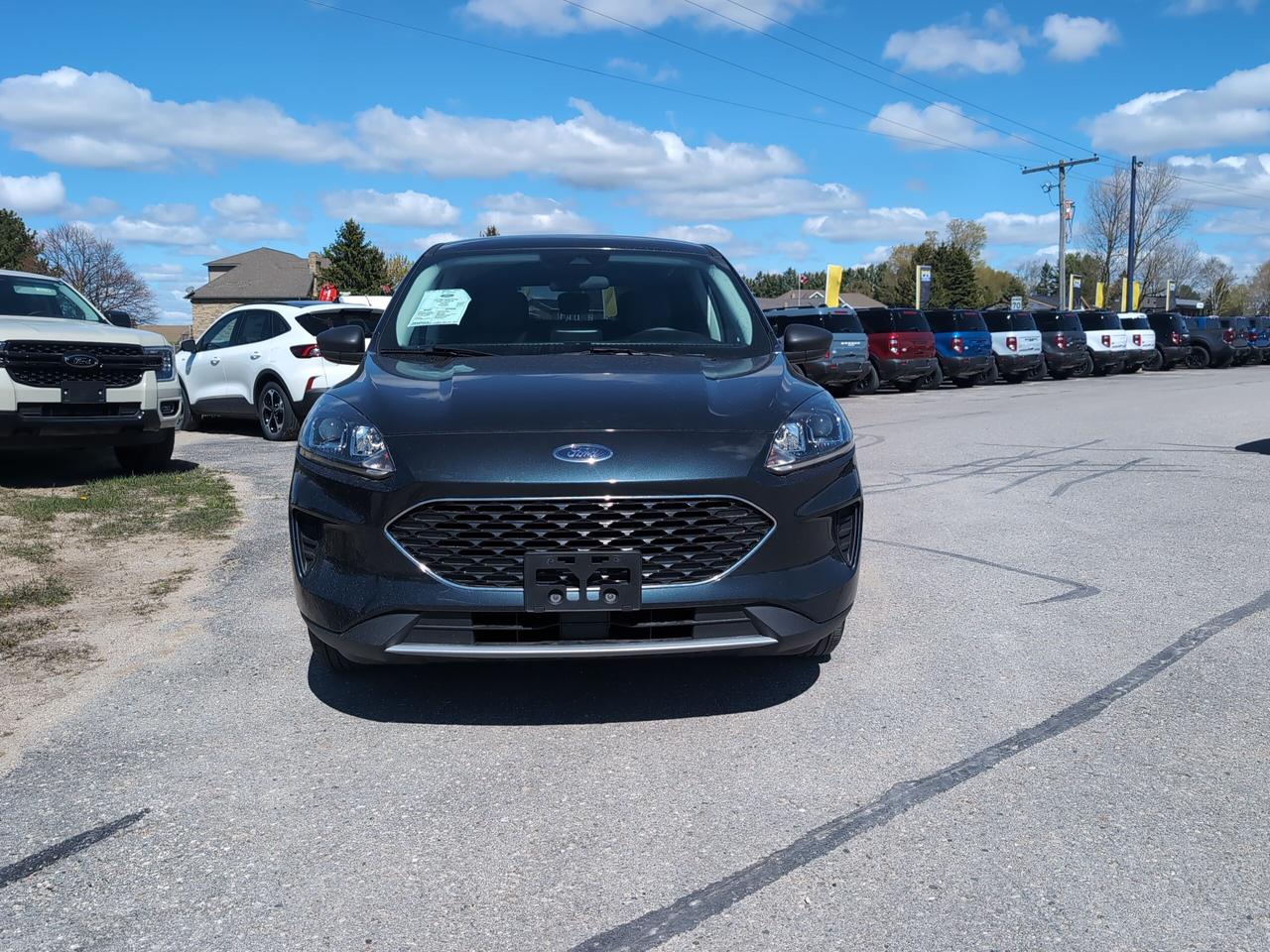 2022 Ford Escape SE FWD Photo1