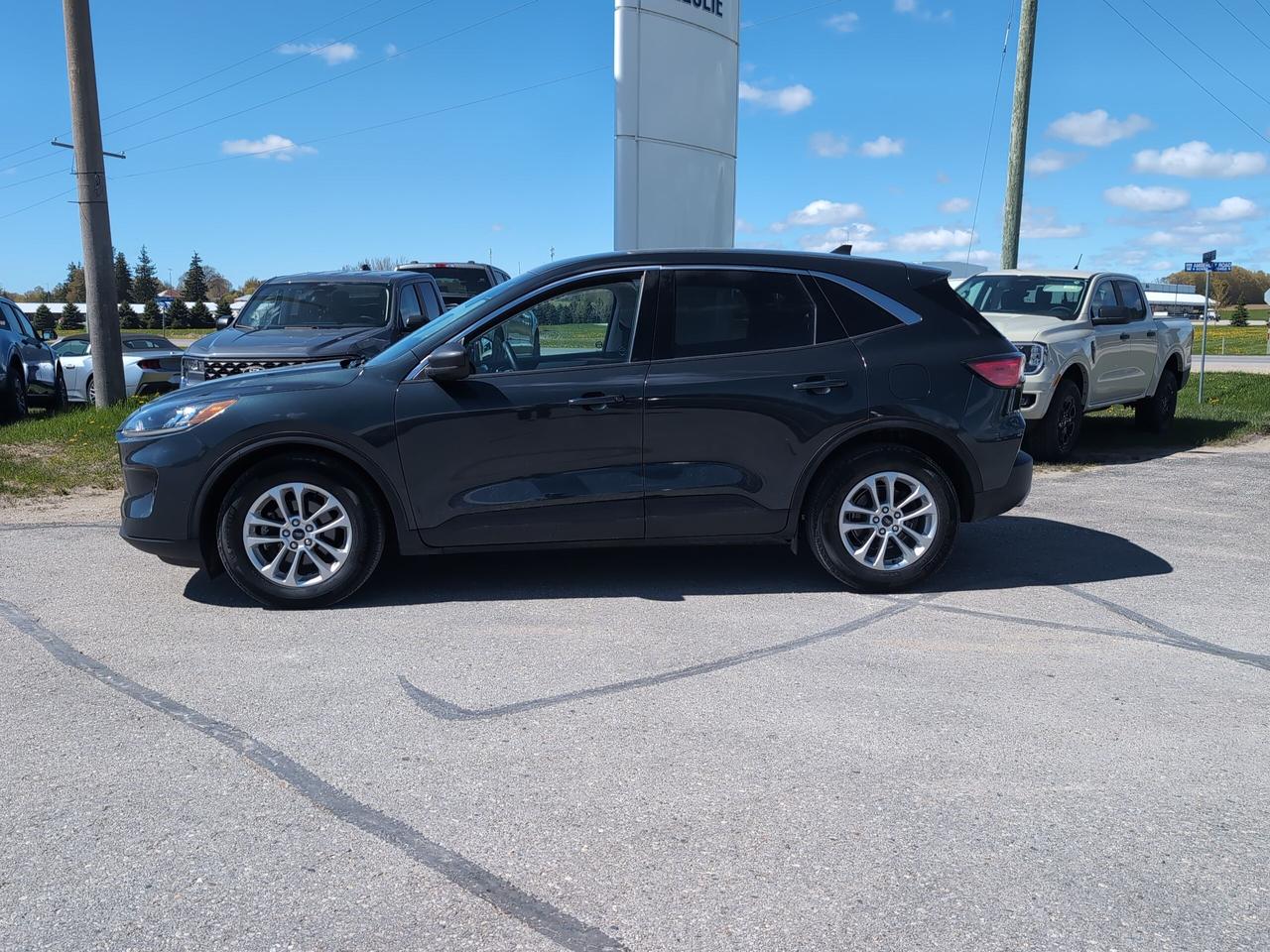 2022 Ford Escape SE FWD Photo2