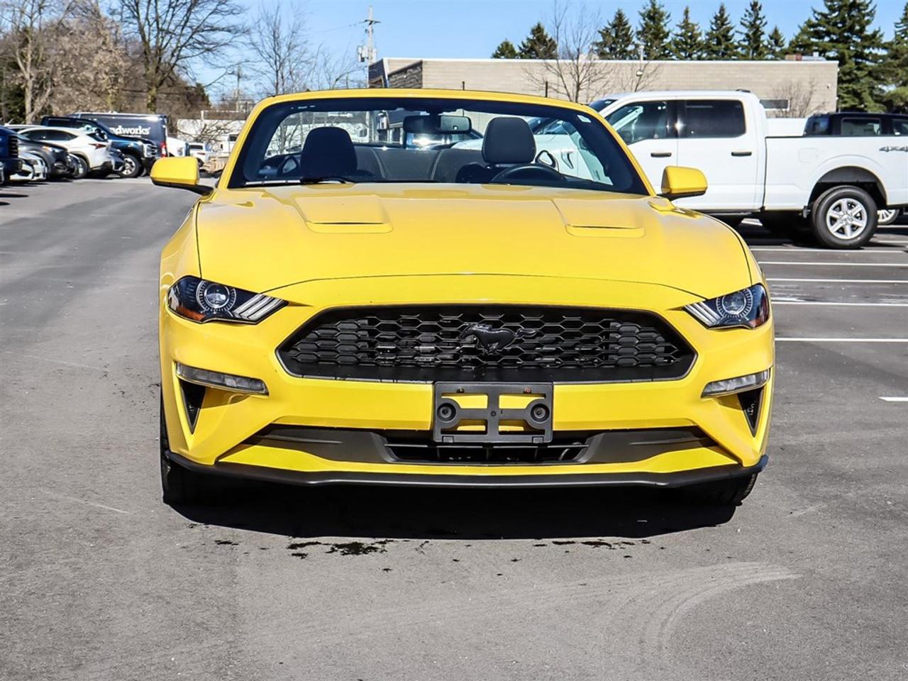 2018 Ford Mustang EcoBoost Convertible Photo