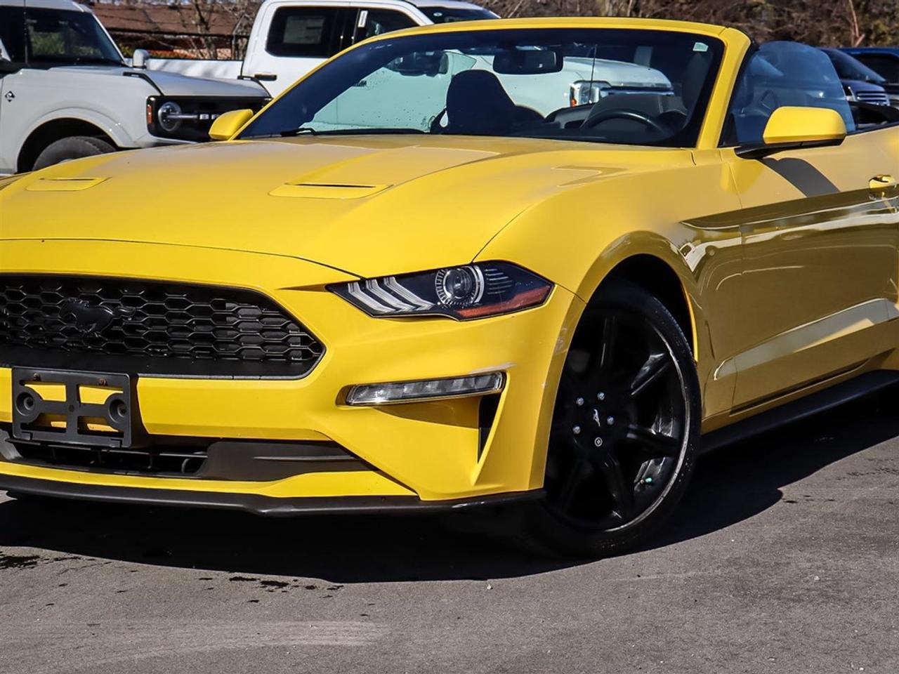 2018 Ford Mustang EcoBoost Convertible Photo