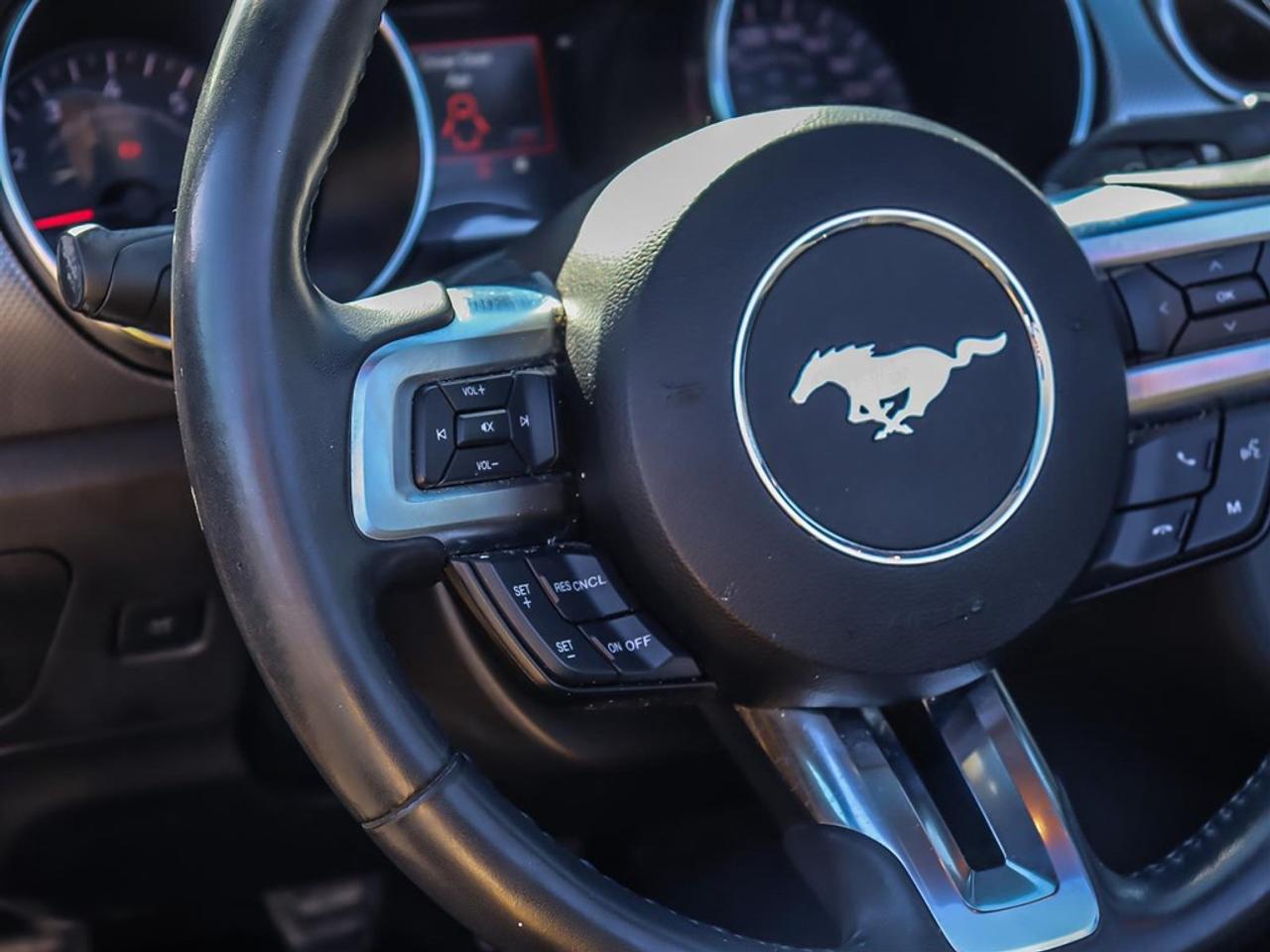 2018 Ford Mustang EcoBoost Convertible Photo