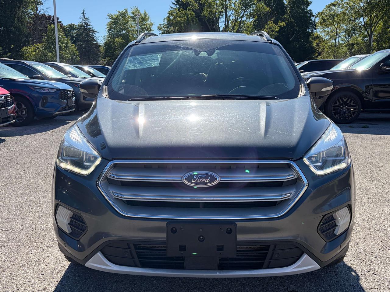 2019 Ford Escape Titanium 4WD Photo