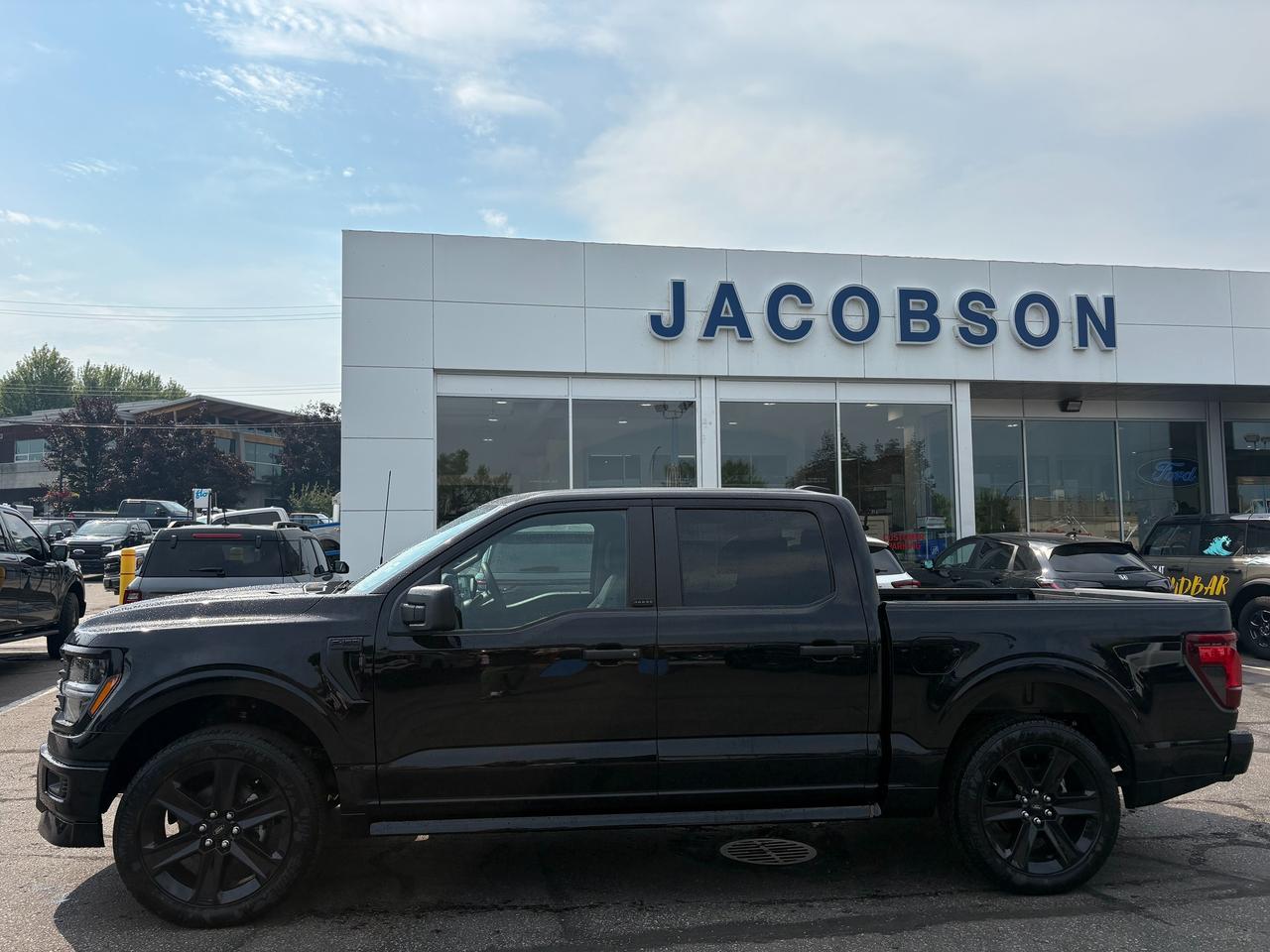 2026 Ford F-150 STX Photo1