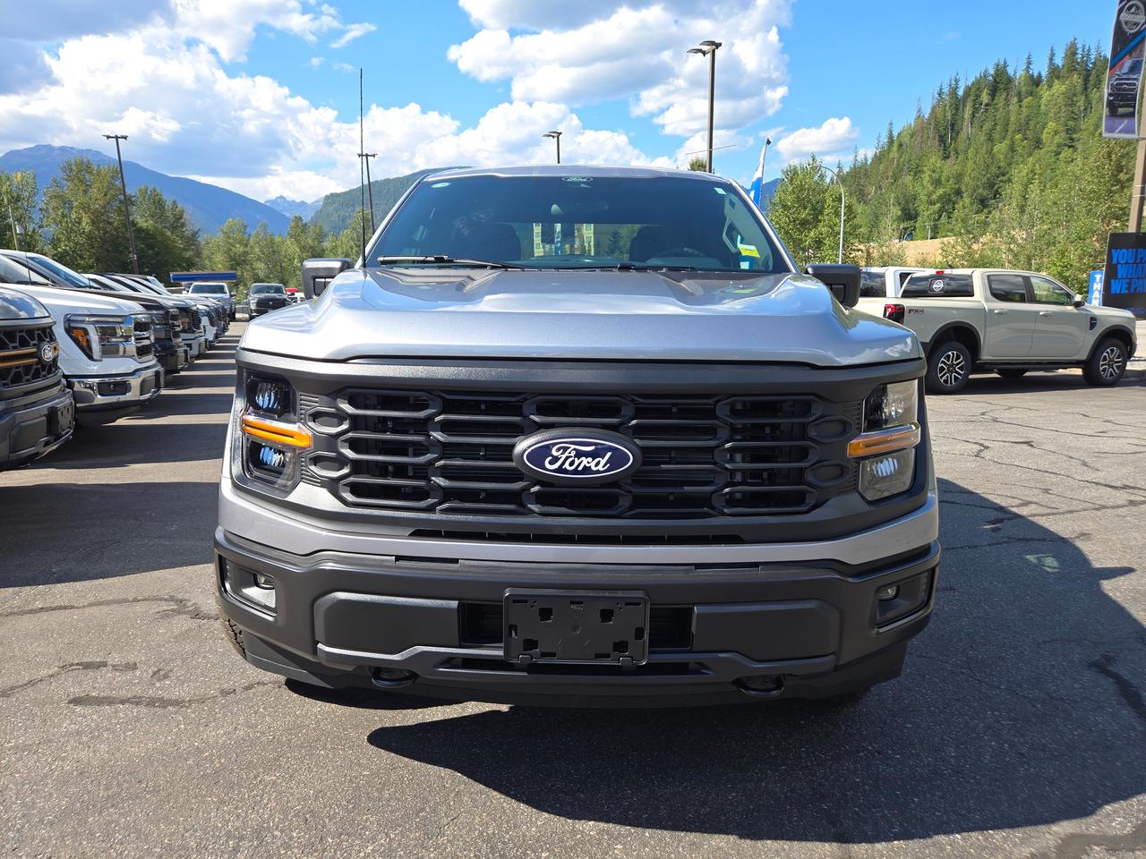 2026 Ford F-150 STX Photo3