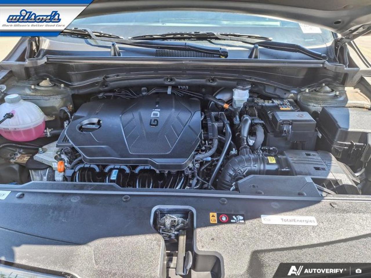 2024 Kia Sportage EX Premium AWD | Leather | Pano Roof | Cooled + Heated Seats | Power Liftgate | Nav | and More ! Photo