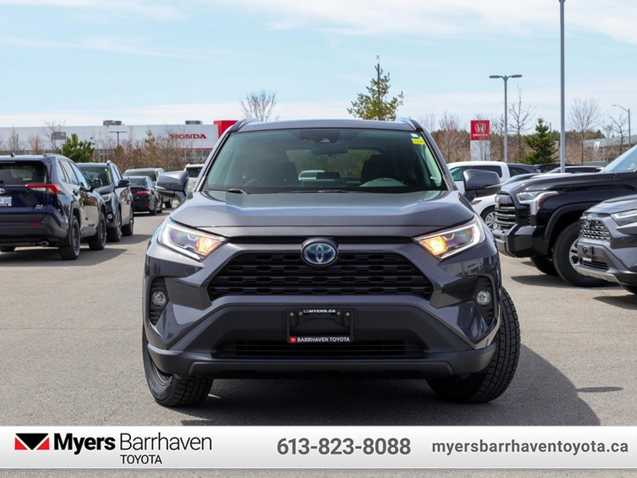 2019 Toyota RAV4 Hybrid XLE  - Sunroof -  Power Liftgate - $301 B/W Photo