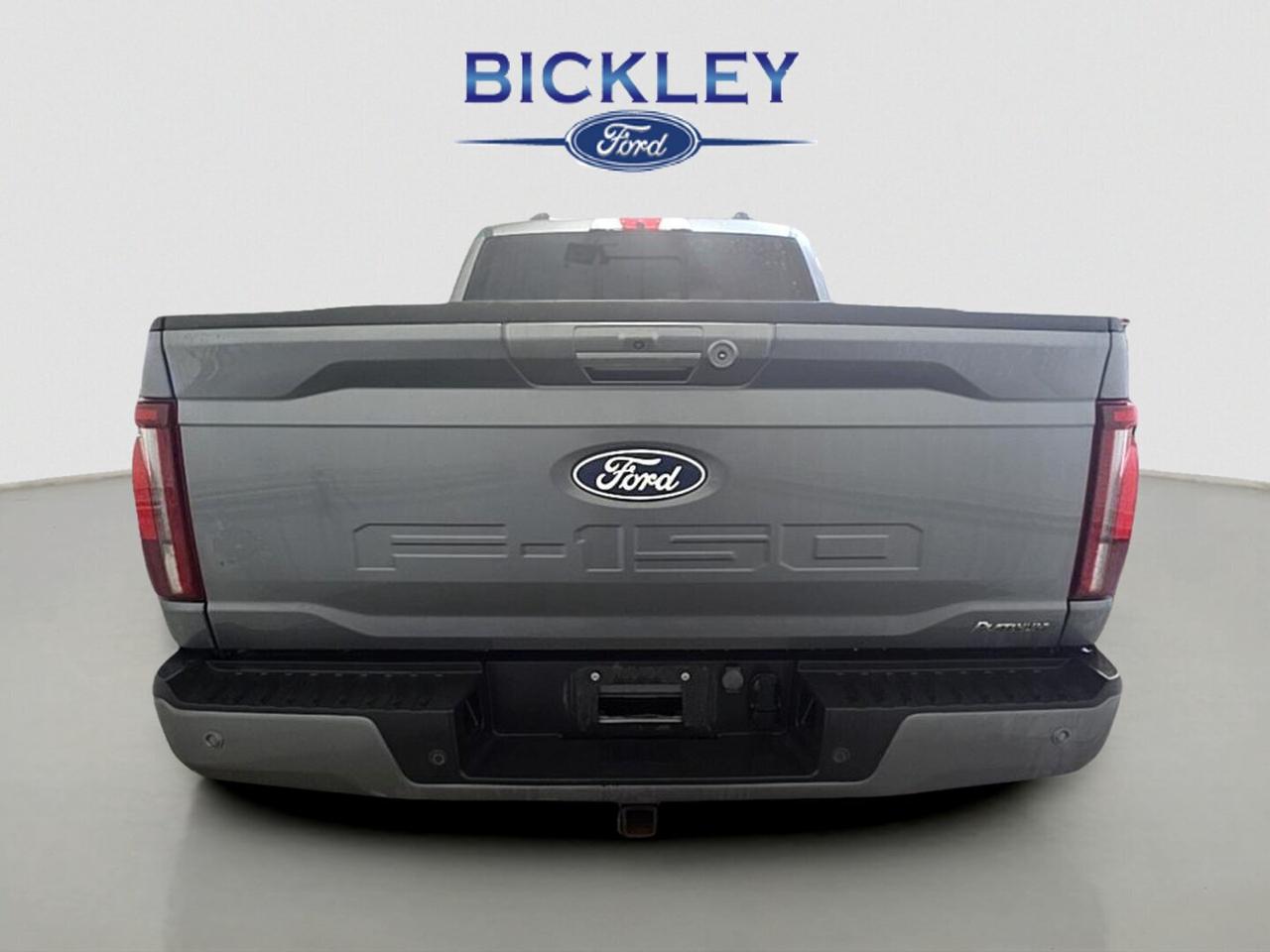 2024 Ford F-150 Platinum Photo