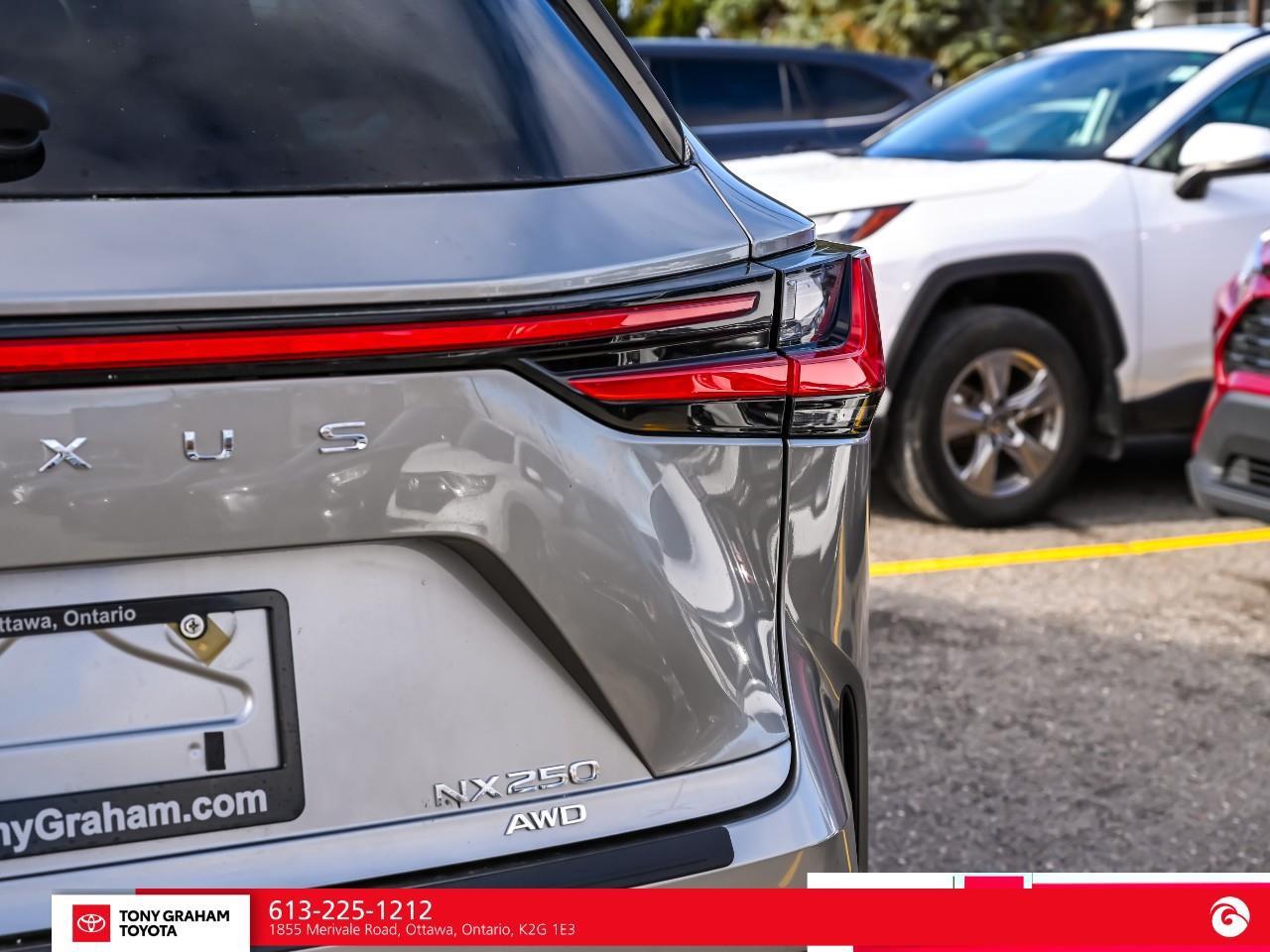 2025 Lexus NX 250  Photo