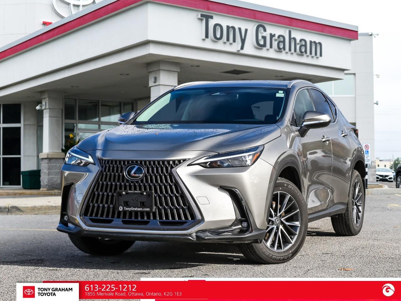 2025 Lexus NX 250  Photo