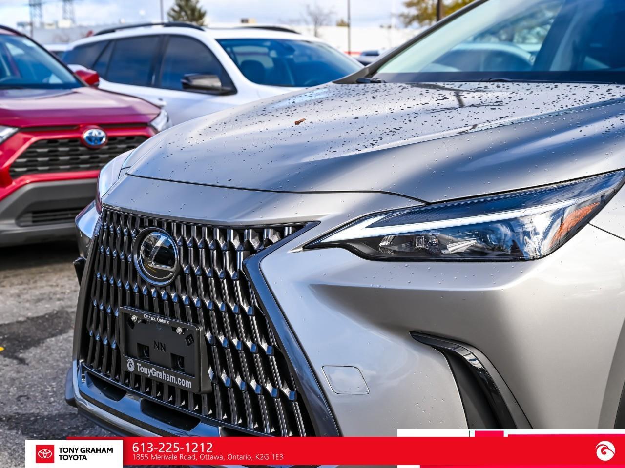 2025 Lexus NX 250  Photo
