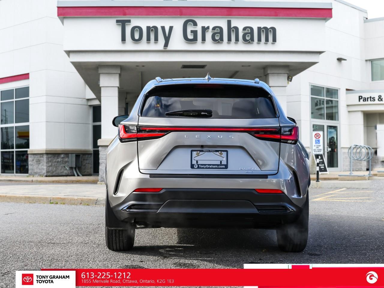 2025 Lexus NX 250  Photo