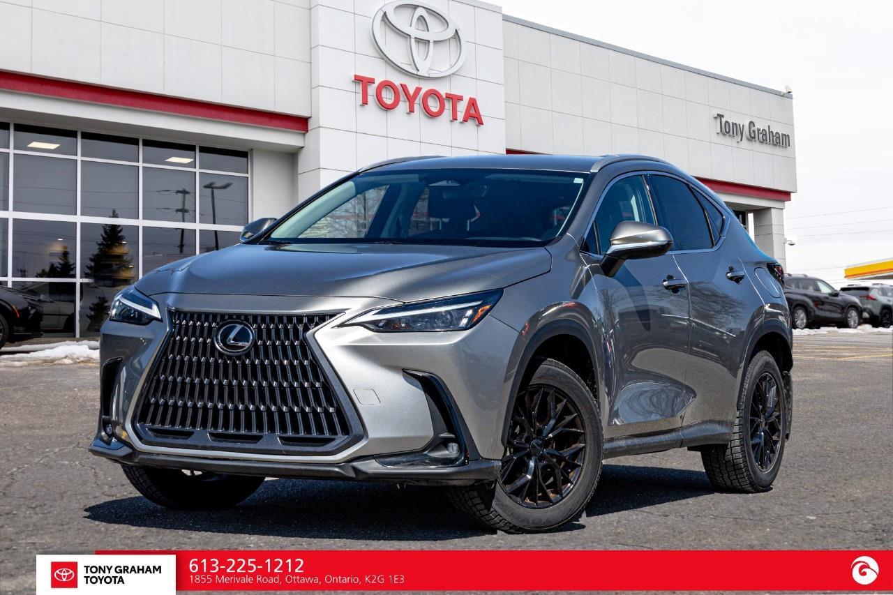 2025 Lexus NX 250  Photo