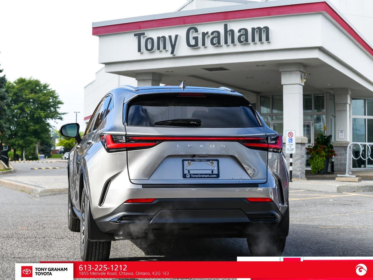 2025 Lexus NX 250  Photo