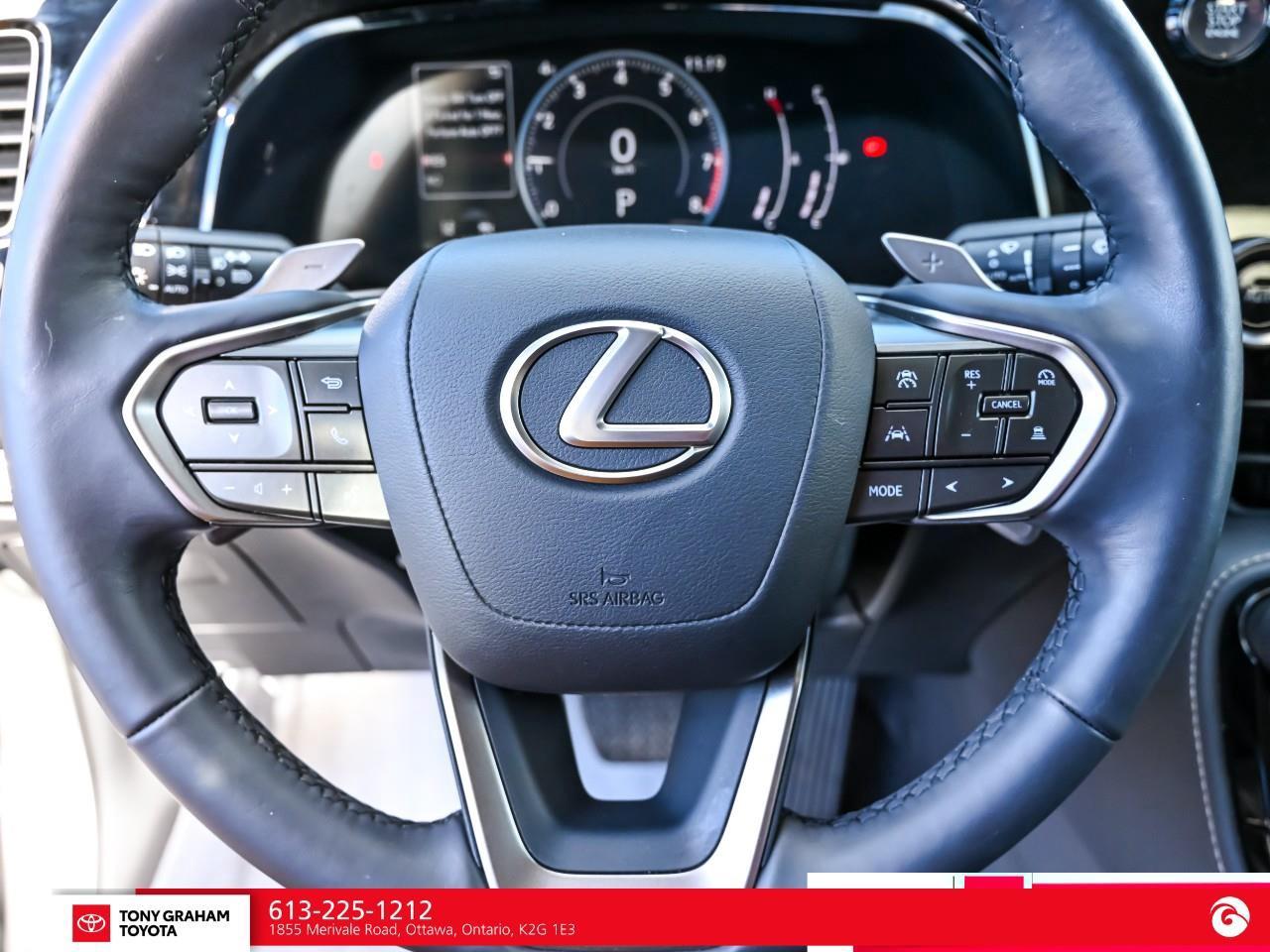 2025 Lexus NX 250  Photo