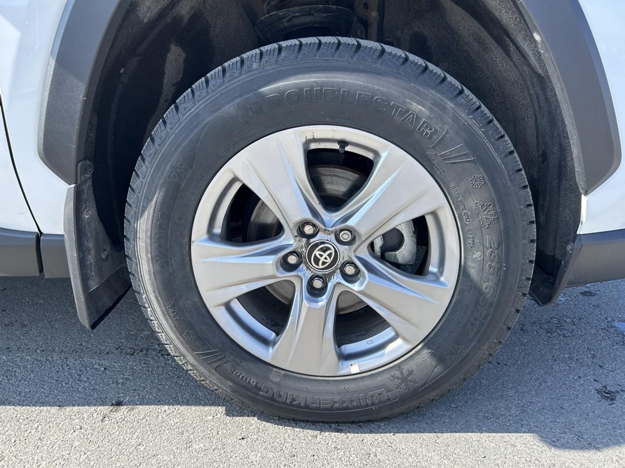 2025 Toyota RAV4 XLE  - Sunroof -  Power Liftgate Photo