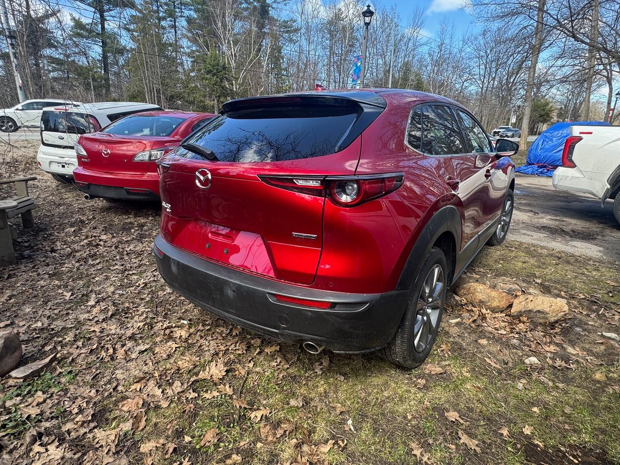 2025 Mazda CX-30 GT Photo