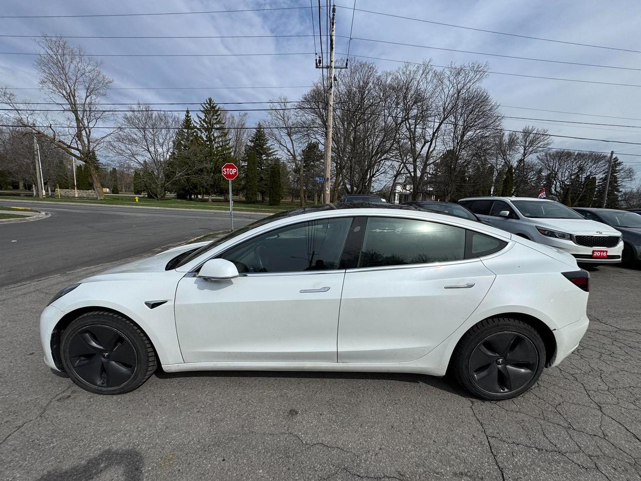 2020 Tesla Model 3 Standard Range Plus RWD Photo3