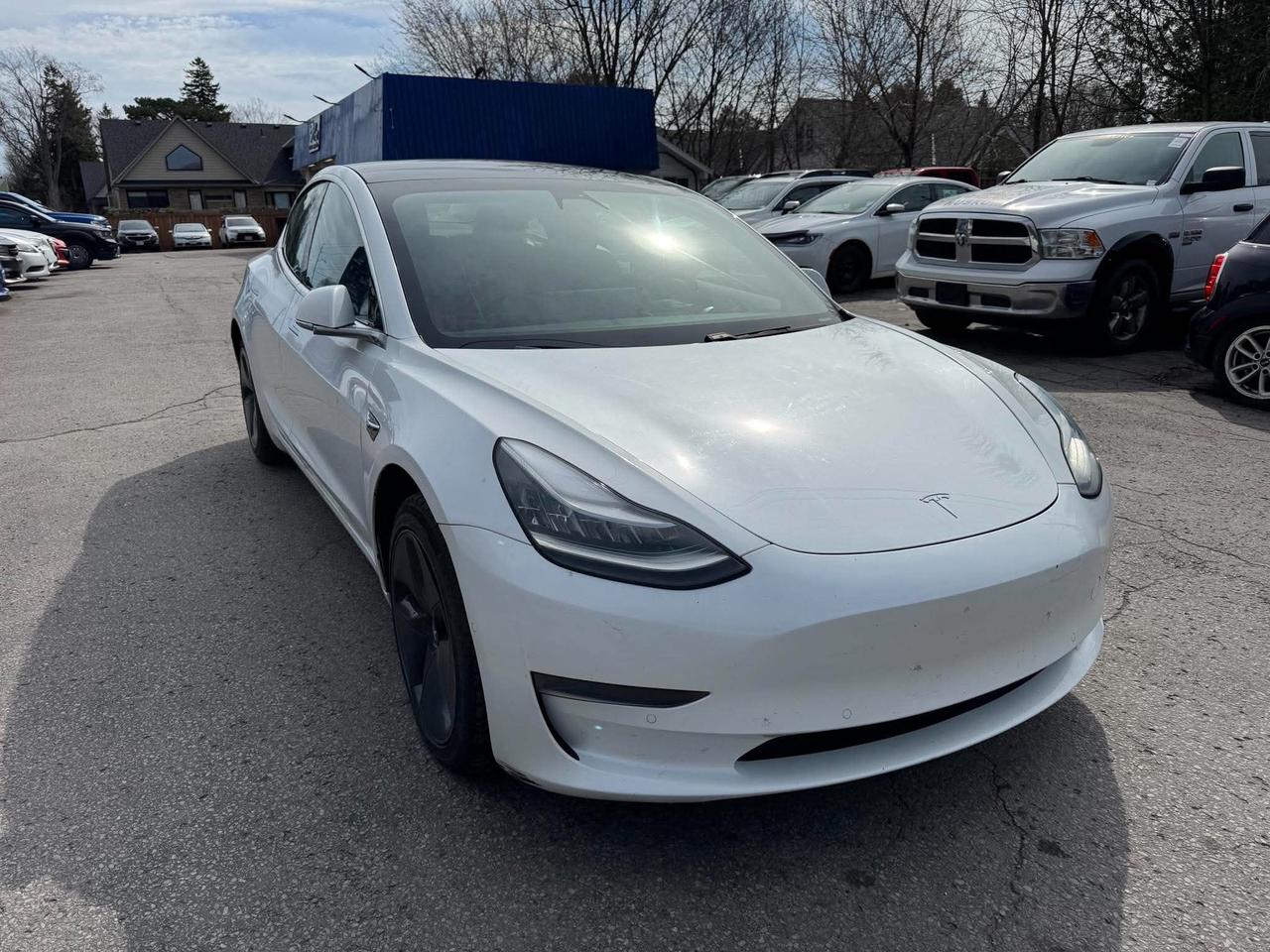 Used 2020 Tesla Model 3 Standard Range Plus RWD for sale in Cobourg, ON