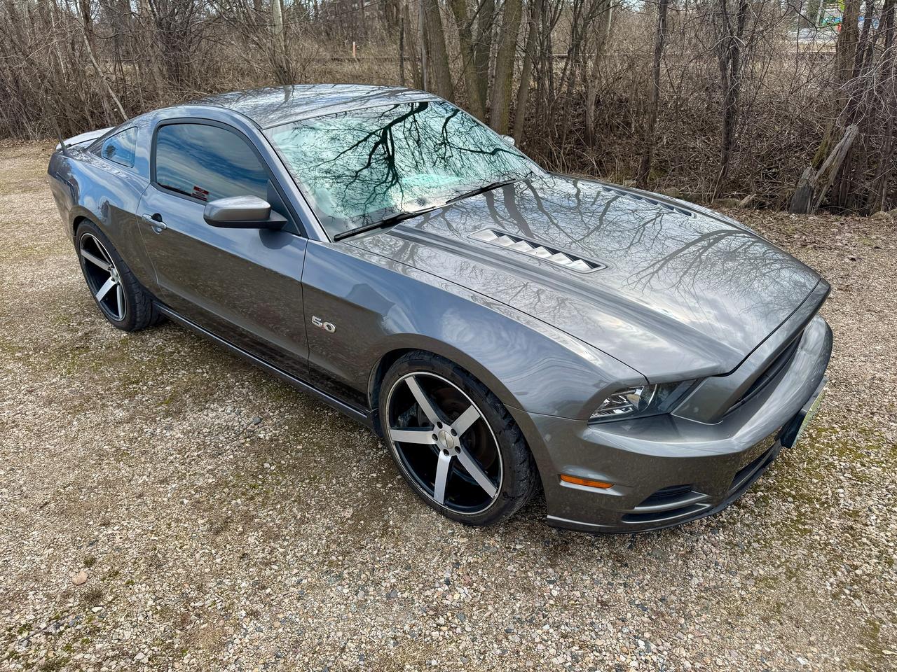 2014 Ford Mustang COUPE GT 5.0L Supercharged | Clean Carfax - Photo #1