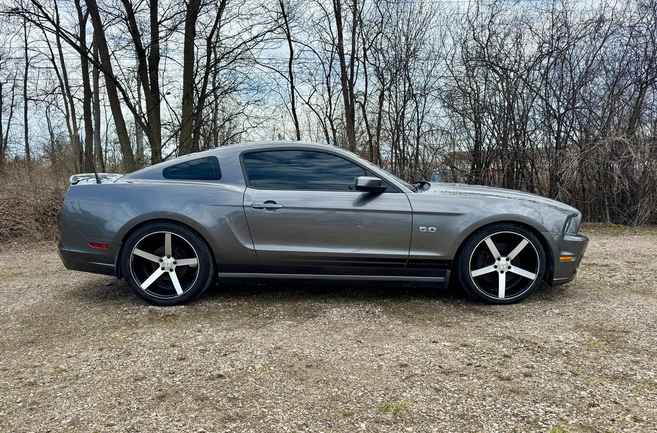2014 Ford Mustang COUPE GT 5.0L Supercharged | Clean Carfax Photo2