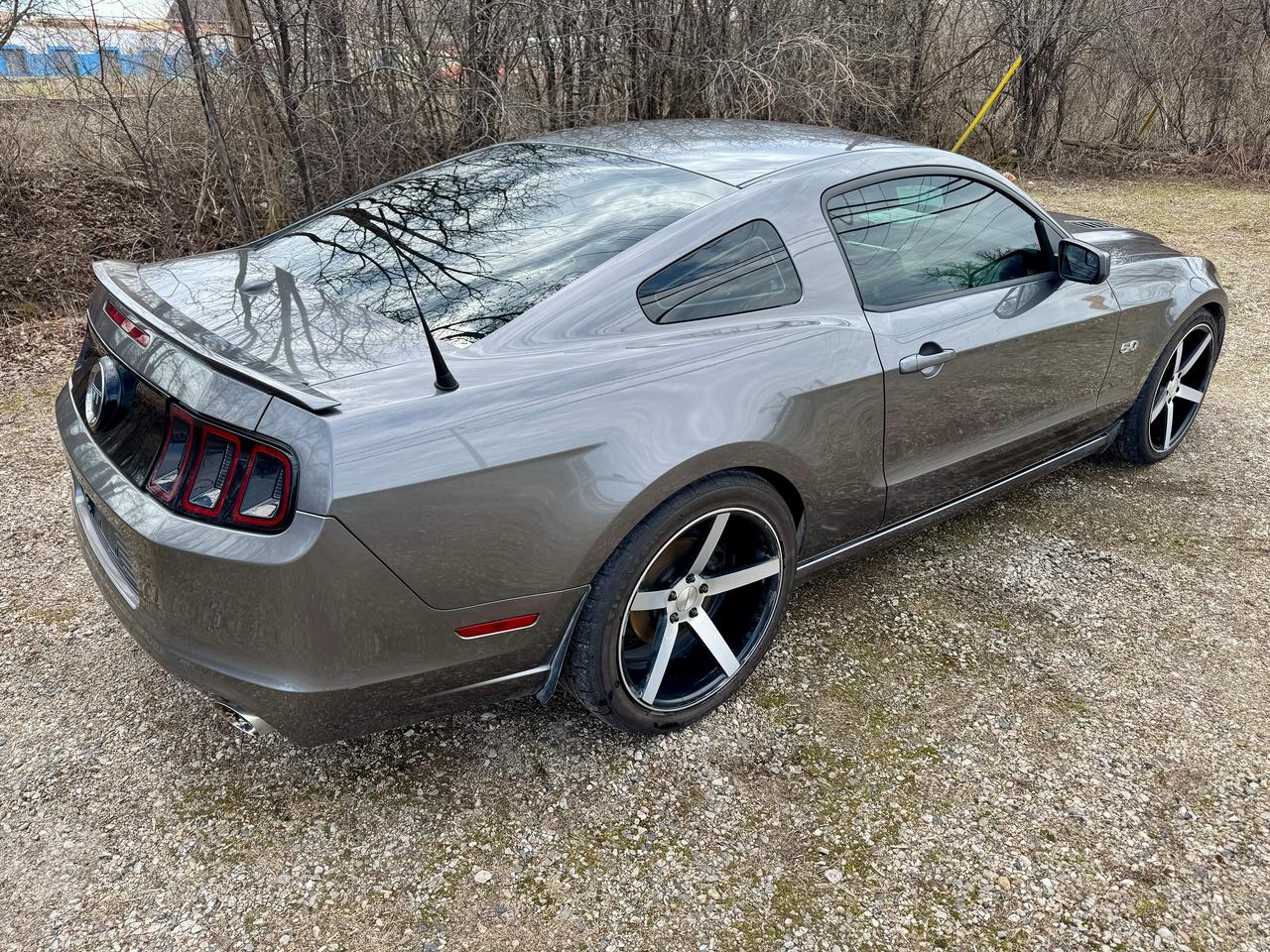 2014 Ford Mustang COUPE GT 5.0L Supercharged | Clean Carfax Photo3