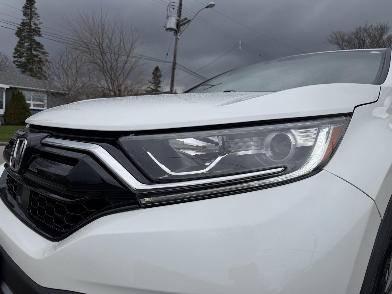 2021 Honda CR-V LX AWD Photo