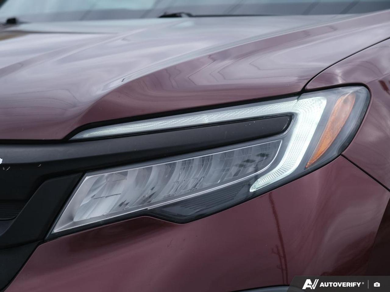 2021 Honda Pilot  Photo