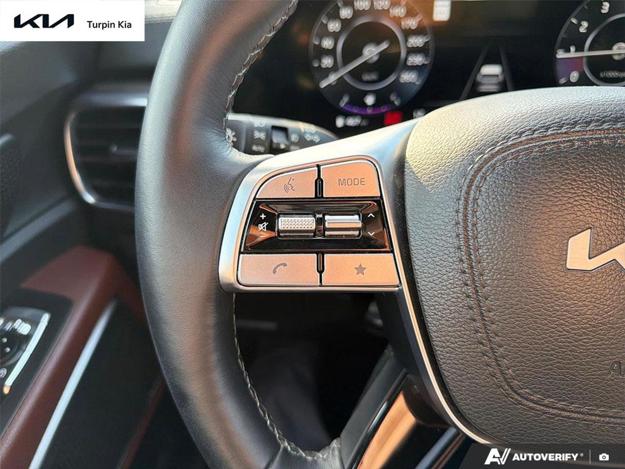 2025 Kia Telluride SX LIMITED (MAHOGANY INT) Photo