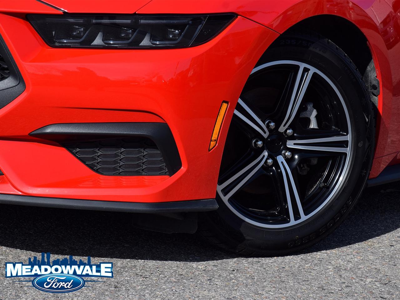 2025 Ford Mustang EcoBoost Photo
