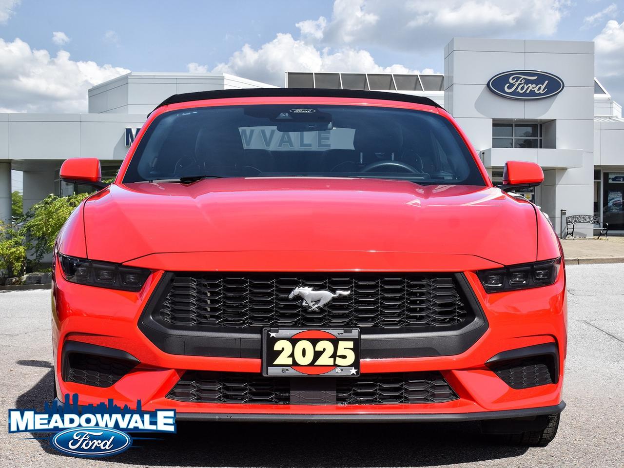 2025 Ford Mustang EcoBoost Photo3
