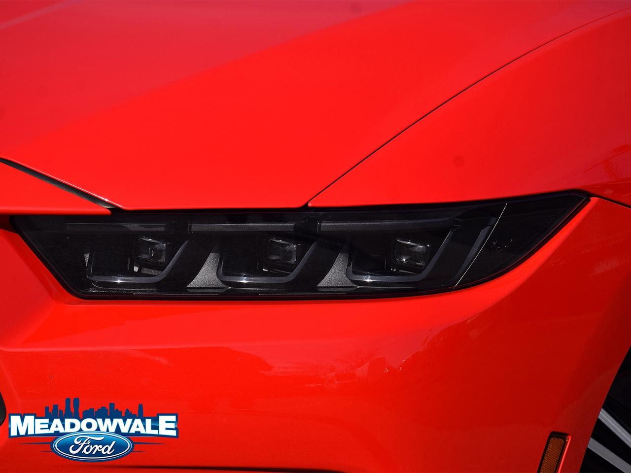 2025 Ford Mustang EcoBoost Photo