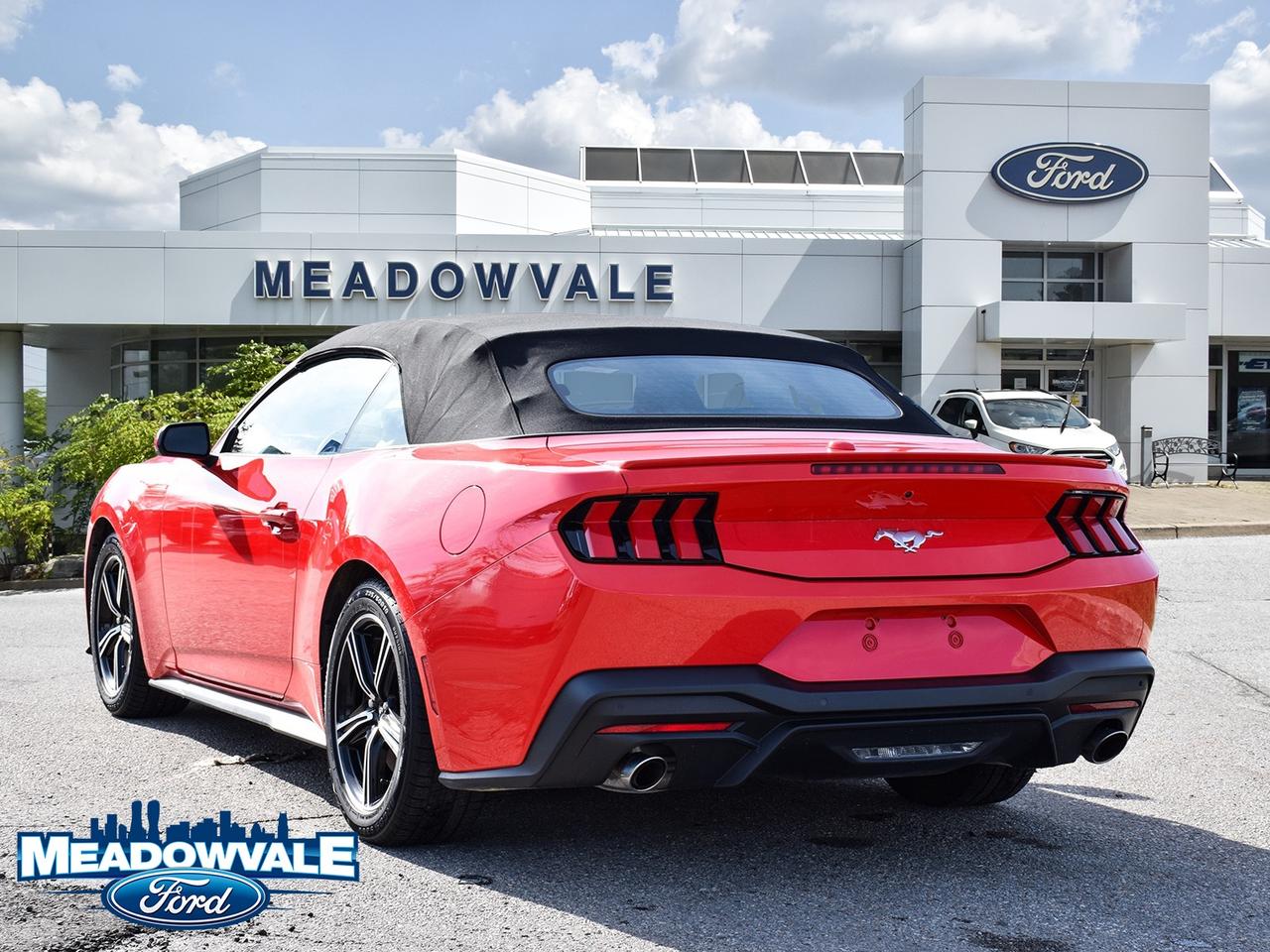 2025 Ford Mustang EcoBoost Photo