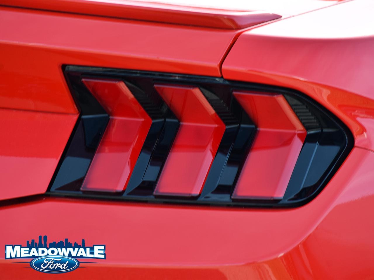 2025 Ford Mustang EcoBoost Photo