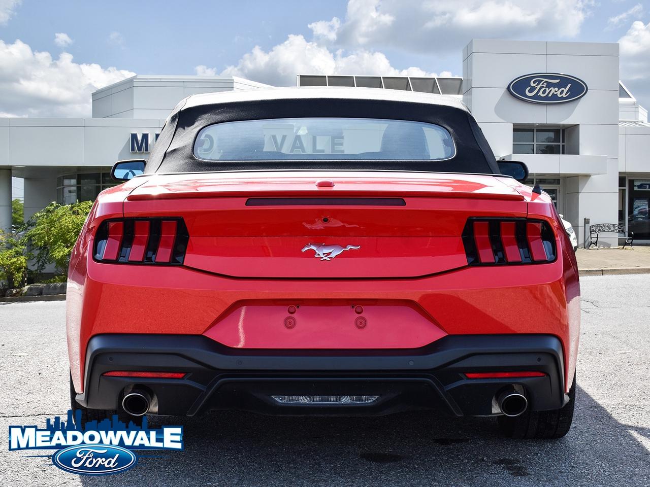 2025 Ford Mustang EcoBoost Photo