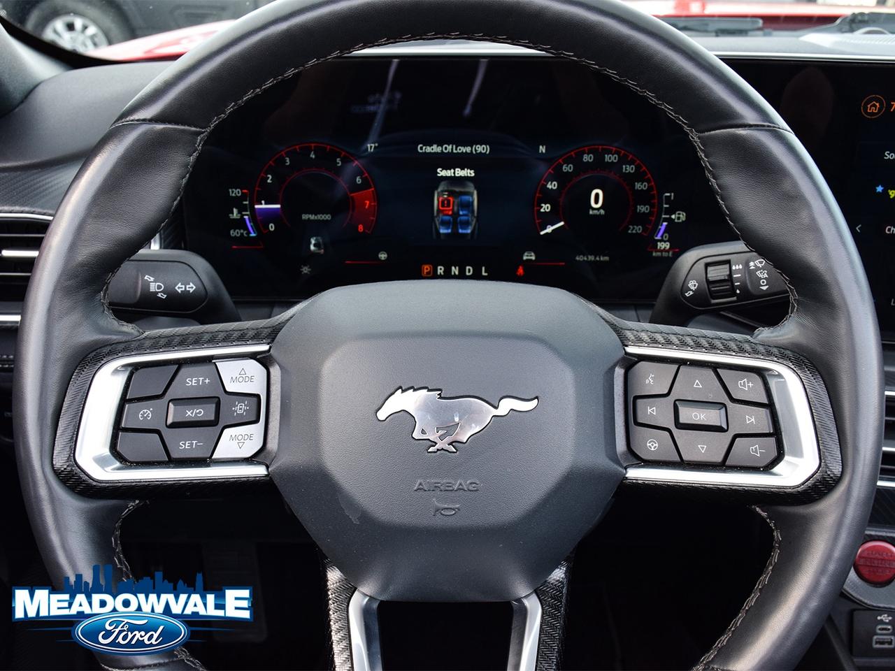 2025 Ford Mustang EcoBoost Photo