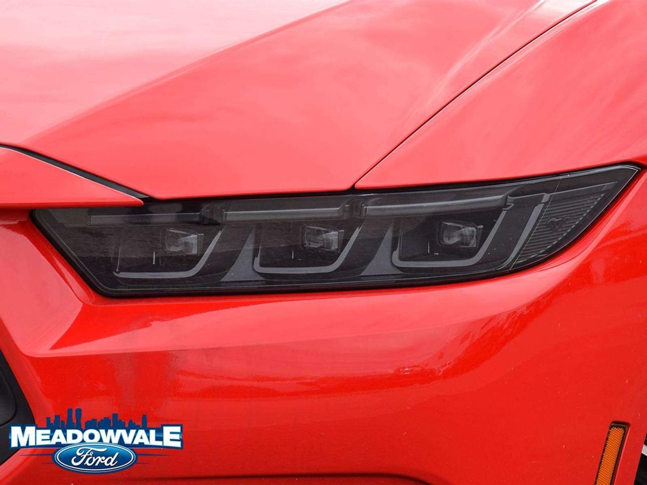 2025 Ford Mustang EcoBoost Photo